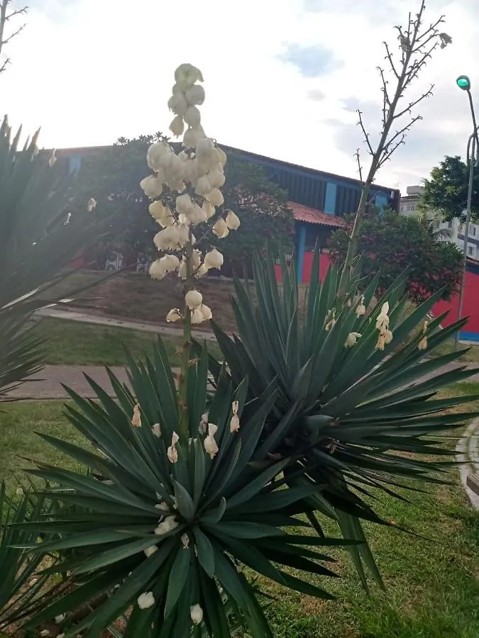 Apartamento Mob à 5 minutos da Praia do Forte dois quartos Cabo Frio